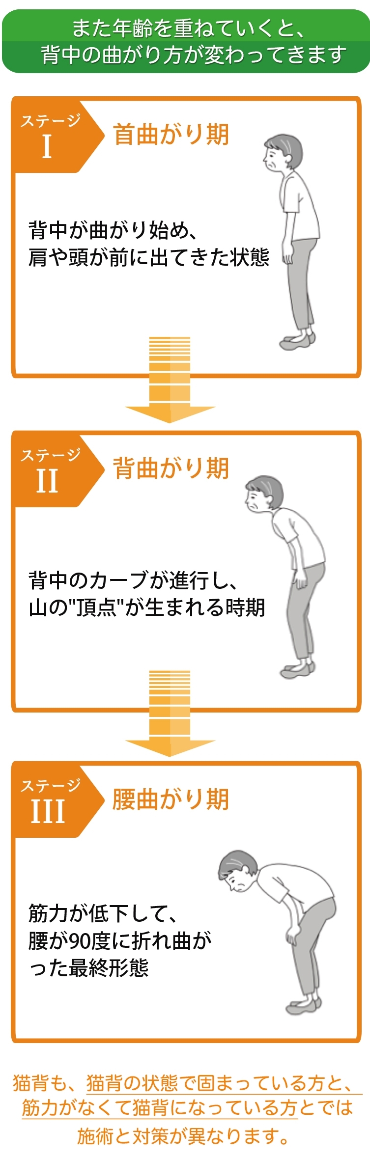 年齢を重ねると、背中の曲がり方が変わってきます。筋力が低下して腰が90度に折れ曲がった最終形態