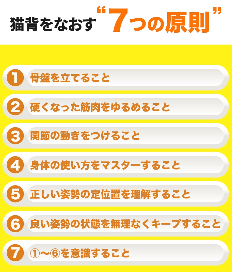 猫背をなおす7つの原則。骨盤を立てる。硬くなった筋肉をゆるめる。関節の動きをつける。身体の使い方をマスターする。正しい姿勢の定位置を理解。良い姿勢を無理なくキープ